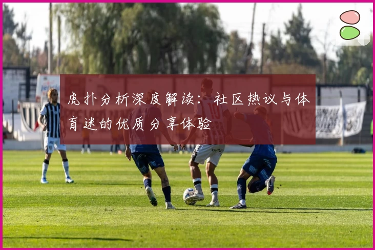 虎扑分析深度解读：社区热议与体育迷的优质分享体验