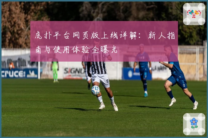 虎扑平台网页版上线详解：新人指南与使用体验全曝光